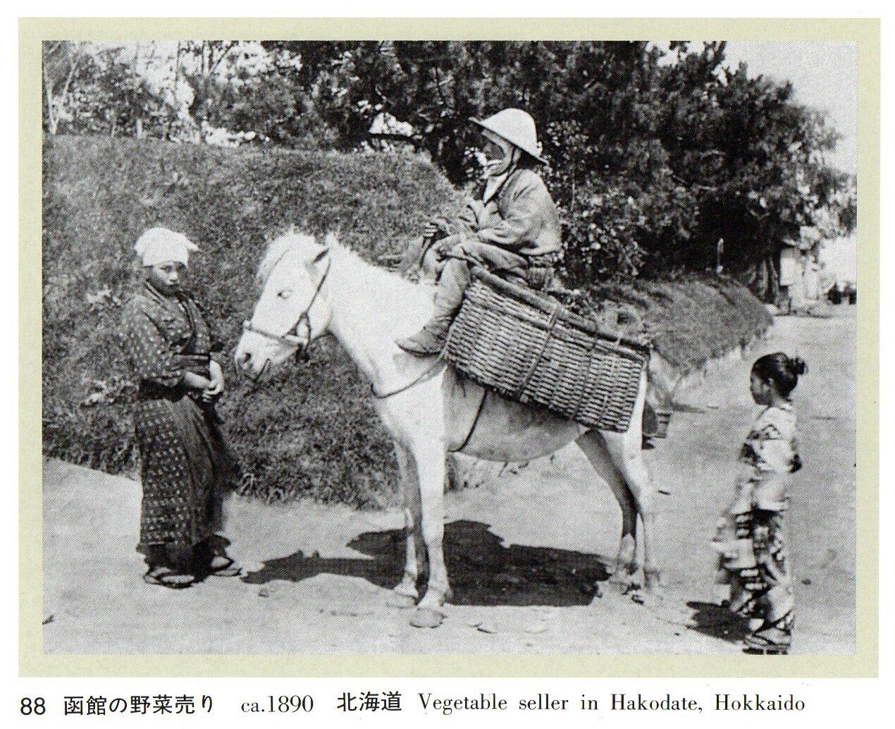 写真録 馬④ 函館の野菜売り｜江島 達也／対州屋