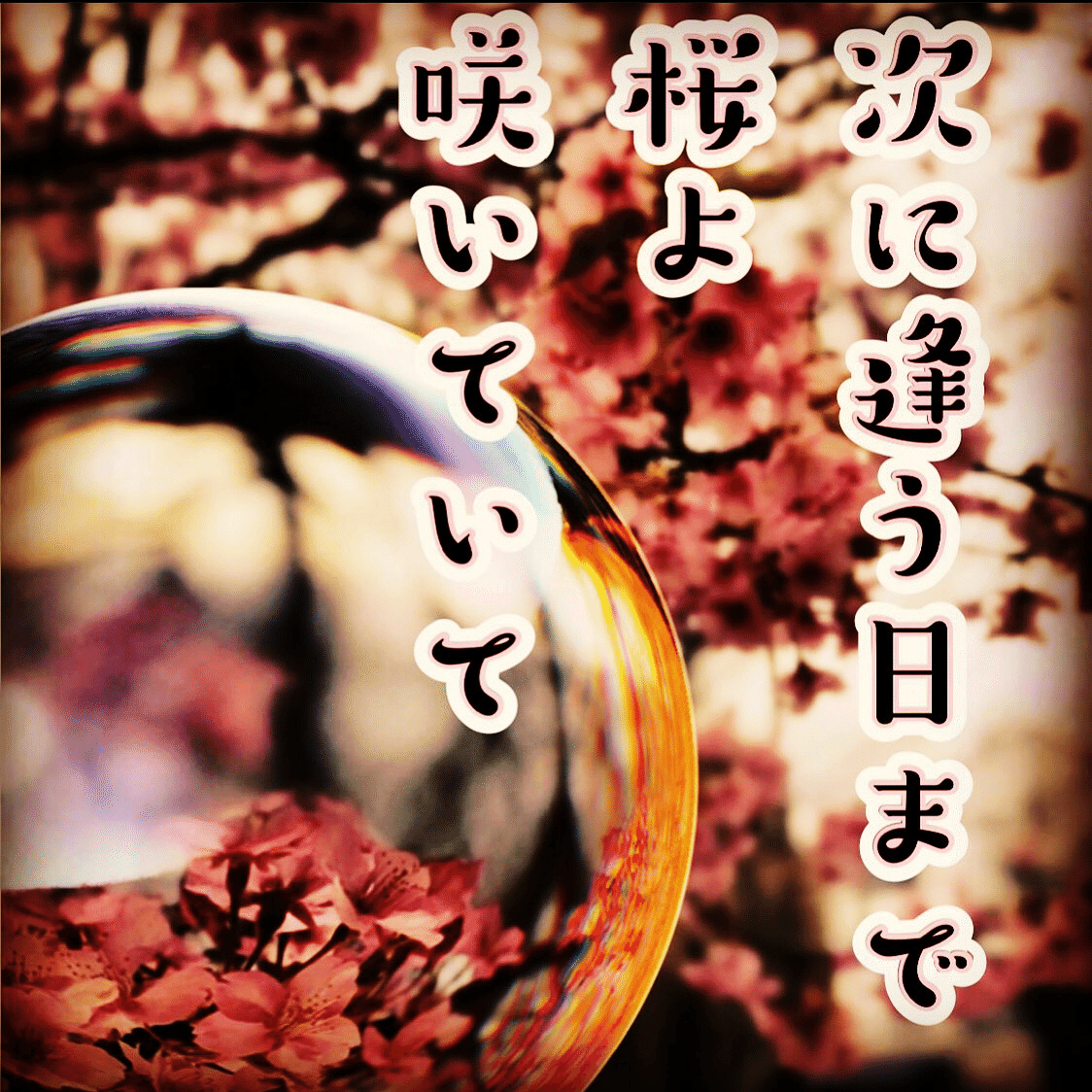 有季定型俳句0001 北大路京介 Note