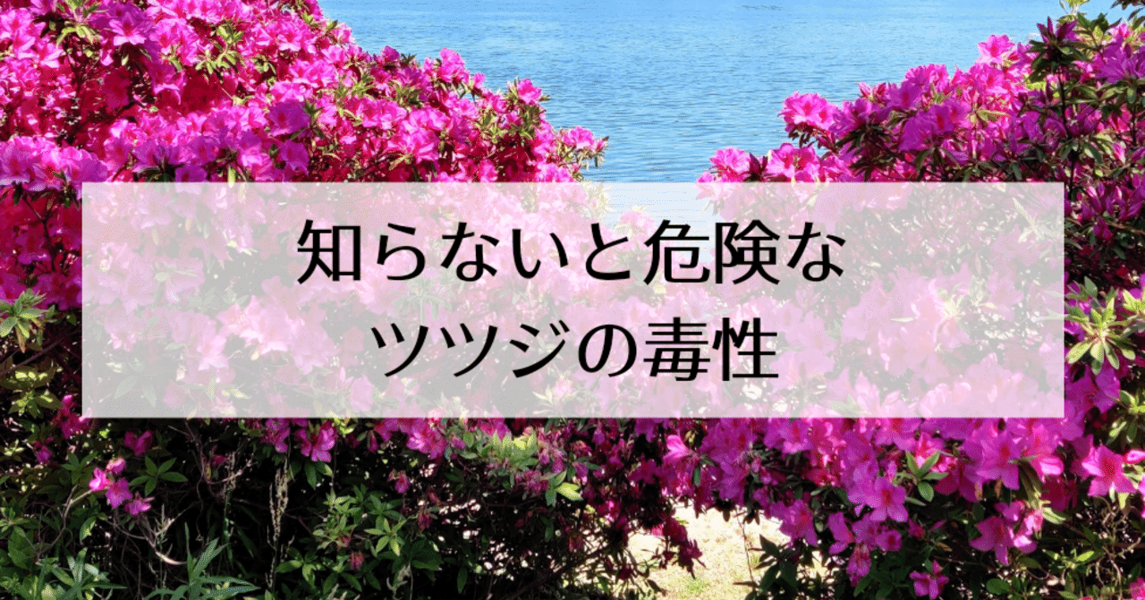 知らないと危険なツツジの神経毒 修家大雄 レストラン ラ フェ Note