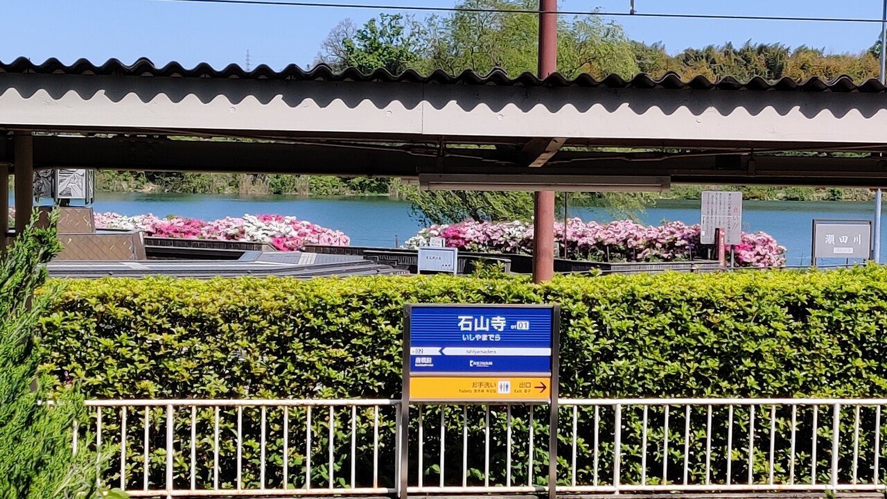 知らないと危険なツツジの神経毒 修家大雄 レストラン ラ フェ Note 知らないと危険なツツジの神経毒 修家大雄 レストラン ラ フェ Note