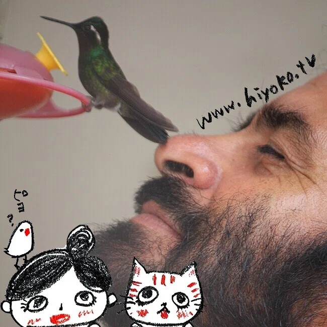 画像19