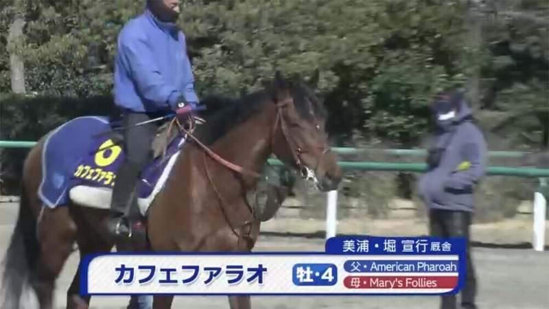 ç¬¬1å›ž 2021æ—¥æœ¬ãƒ€ãƒ¼ãƒ