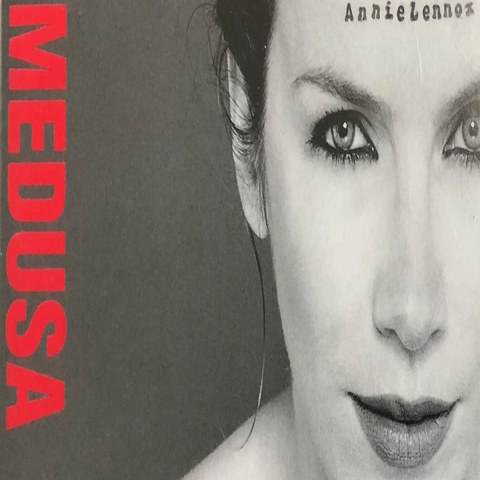 アニー レノックス Something So Right ポール サイモン 歌詞和訳 山本 剛 Note