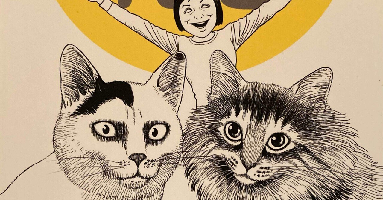 伊藤潤ニの猫日記 よん&むー｜スナ＠『本屋』