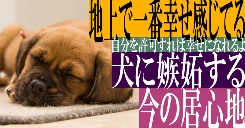 犬に嫉妬 の新着タグ記事一覧 Note つくる つながる とどける