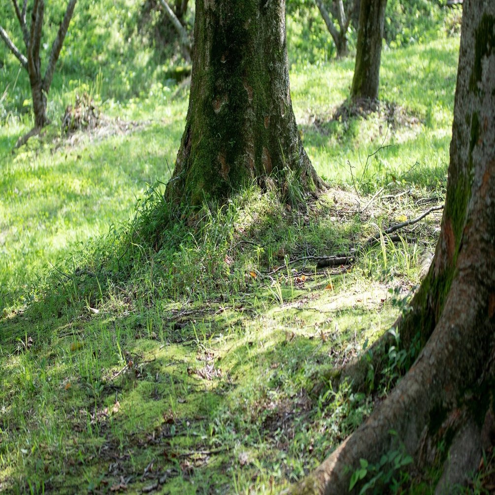 ＸRP161円を超えれるか？もうXRP買っとけばよくねって思ってます。｜s.k2