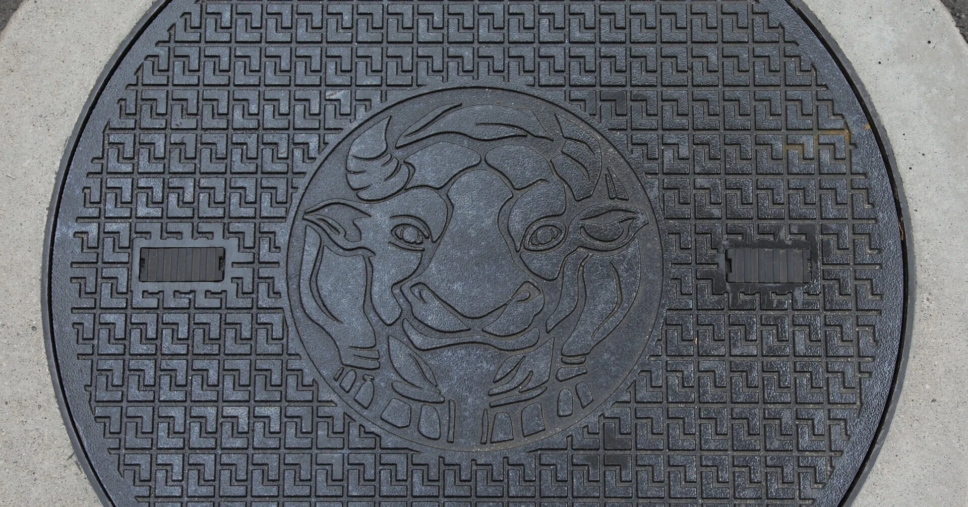 英語で知ろう！ はじめての仏教 1】The Unique Manhole －築地本願寺の