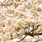 おやま/コロナ後遺症から復活