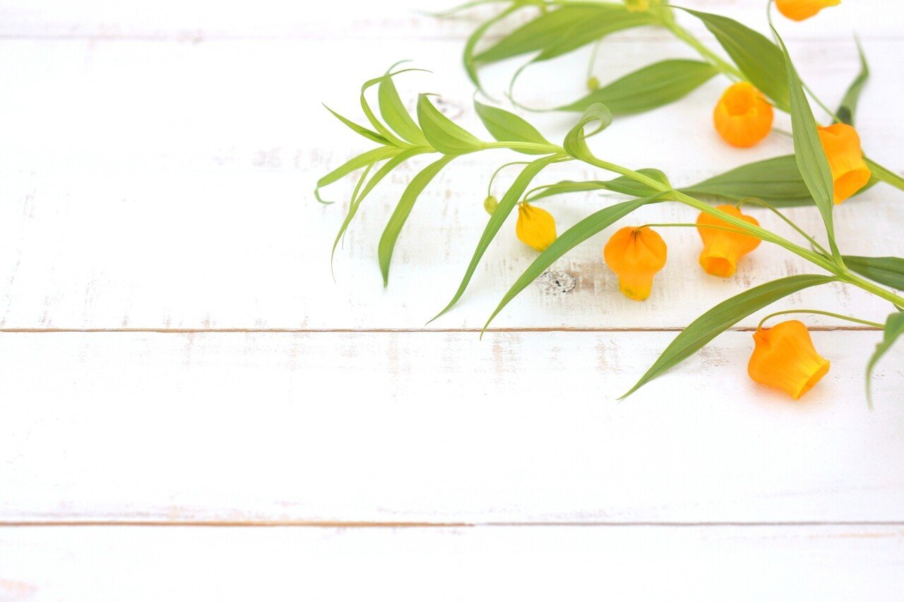 5月 サンダーソニア エメラルド Novelize ノベライズ Note 5月 サンダーソニア エメラルド Novelize ノベライズ Note