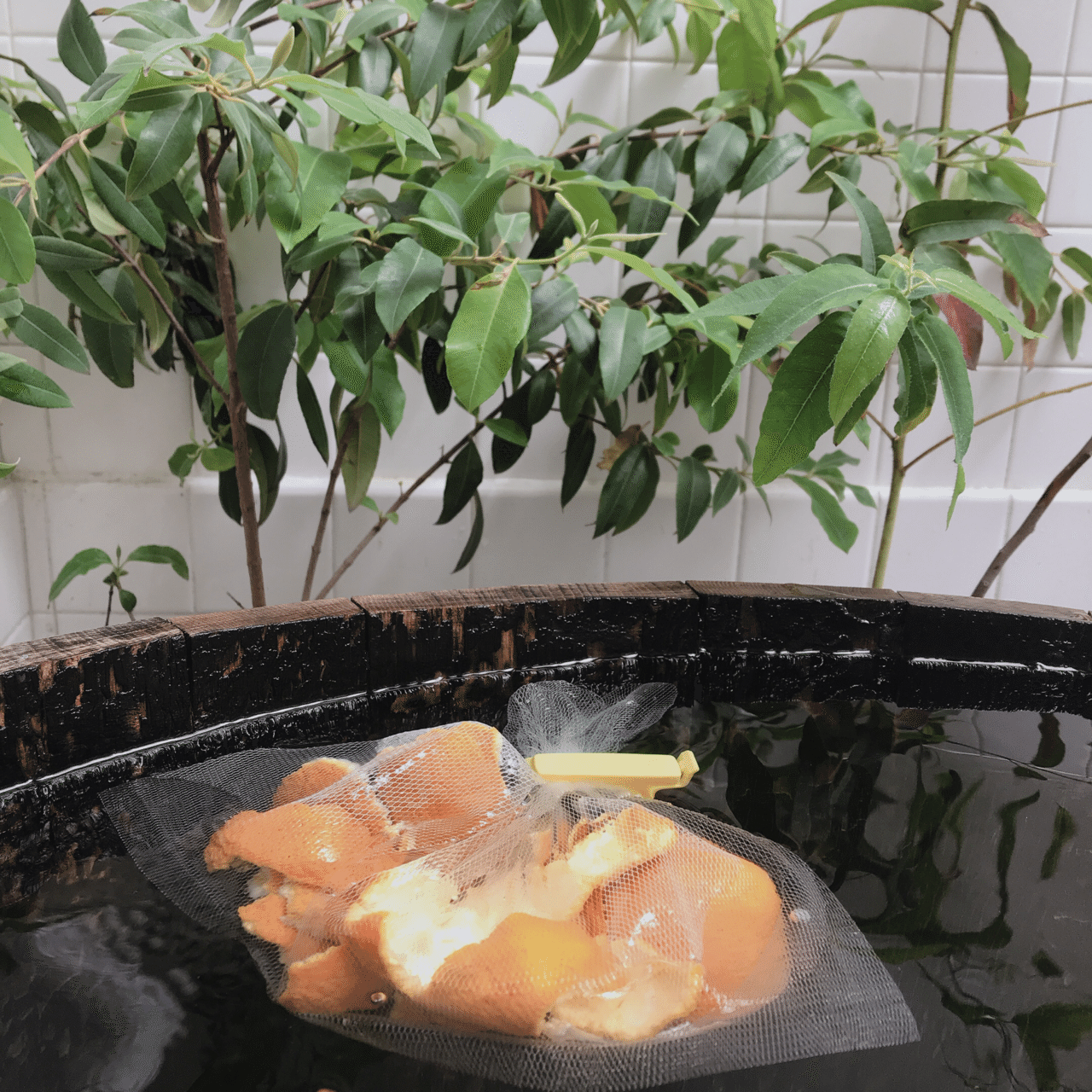 ポンカン風呂 Qjapan Piapi Note