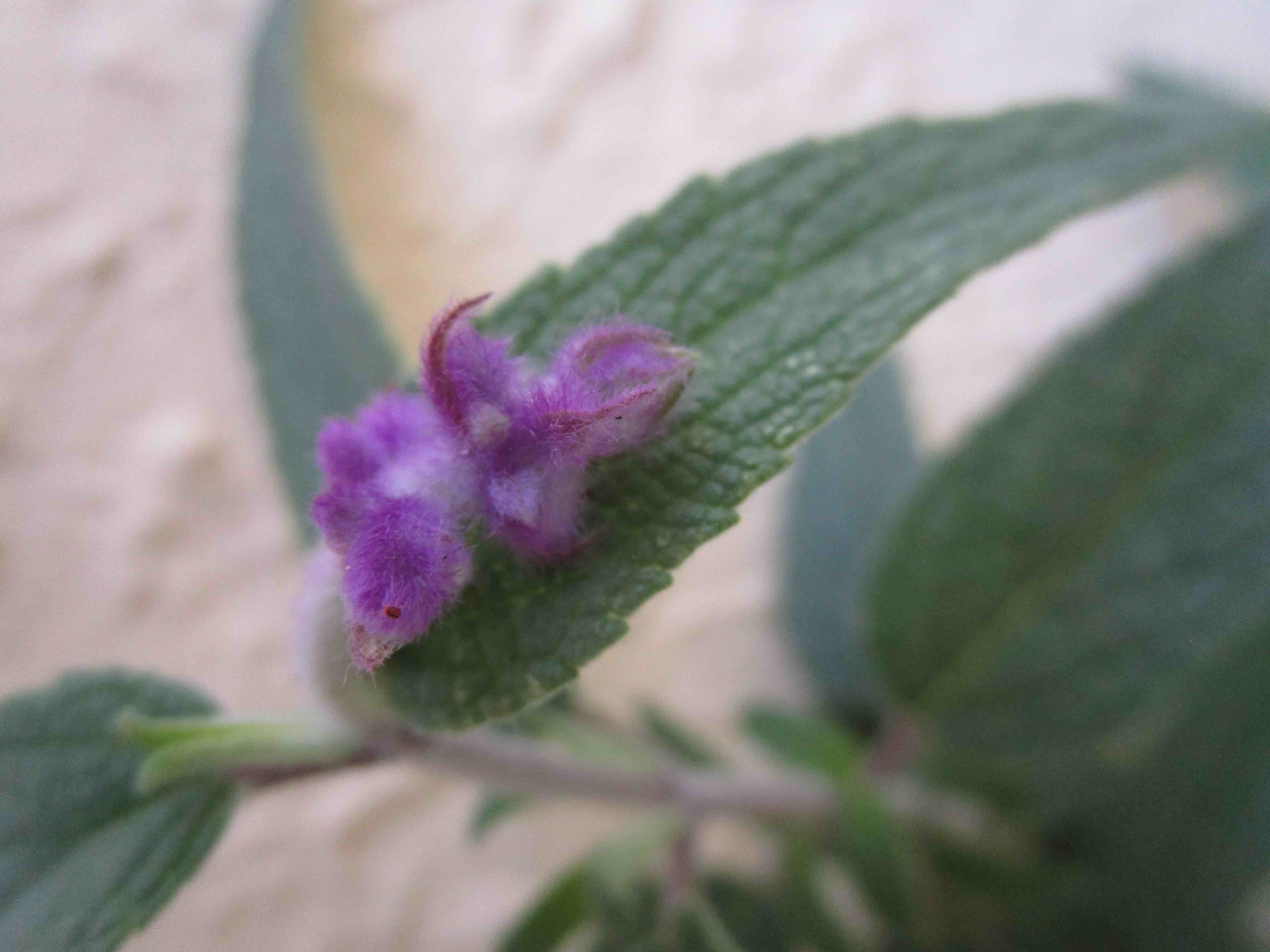 月刊駄文置き場4月号 Masa13 Note