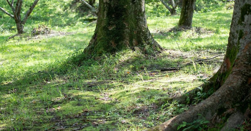 気持ちが萎んだときに効く呪文 こう Note