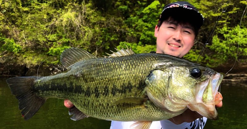 より遅く より弱く In芹川ダム 人生釣り三昧 25 かずおか Note
