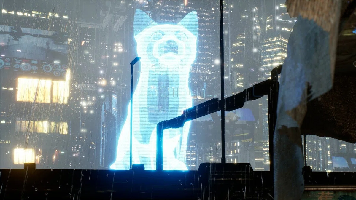 画像17