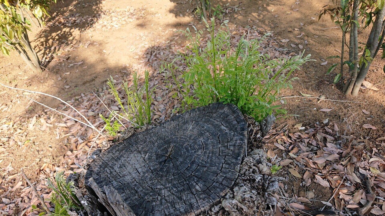 仕事 小卒から俺は Note