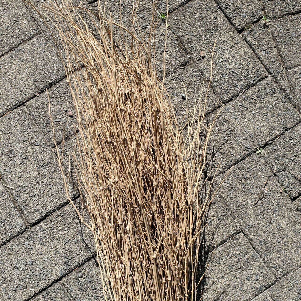 竹箒 熊手の替え時と長持ちのコツ Yuuuuuuutro7 Note