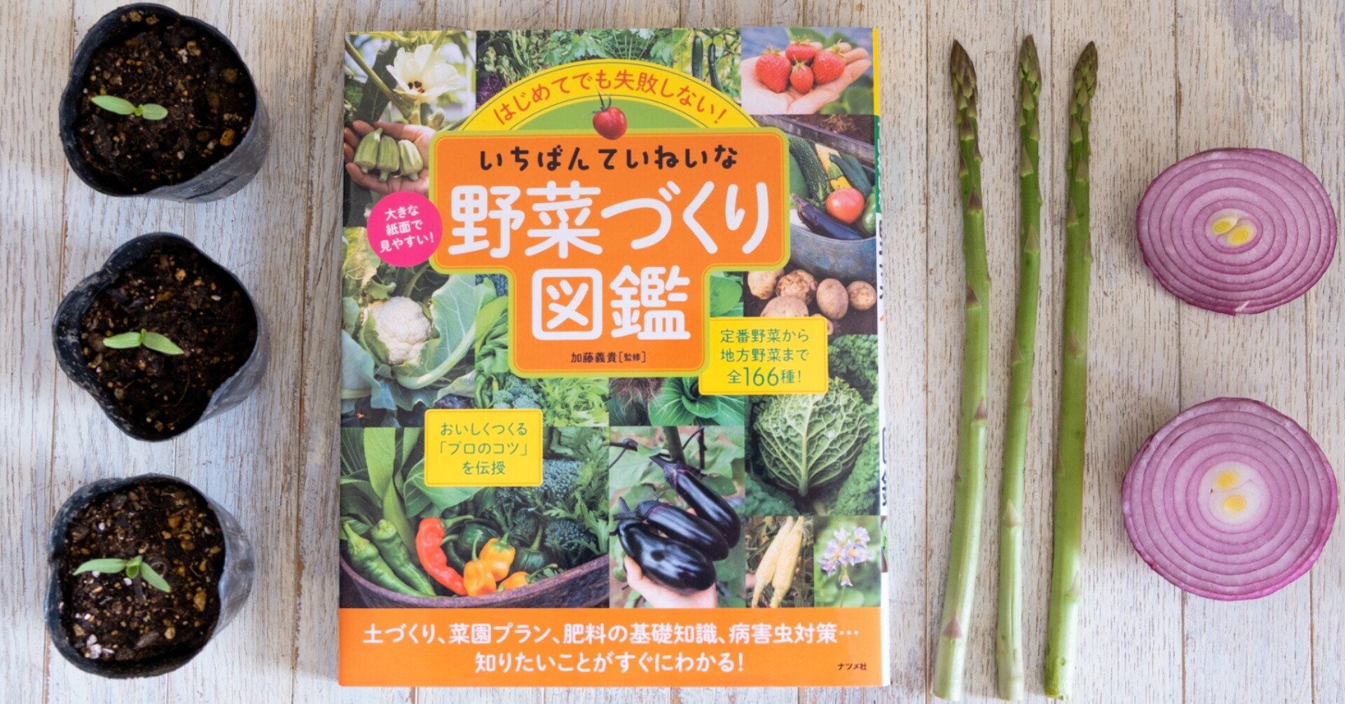 野菜づくり図鑑 出版記念オンライン無料トーク おいしい野菜を育てるコツ 開催 加藤義貴 加藤トマトファーム 井頭体験農園 金子宗郎 霜里農場 しもざと有機野菜塾 Ozawa Eiko Note 野菜づくり図鑑 出版記念オンライン無料トーク おいしい野菜を育てるコツ 開催 加藤義貴 加藤トマトファーム 井頭体験農園 金子宗郎 霜里農場 しもざと有機野菜塾 Ozawa Eiko Note