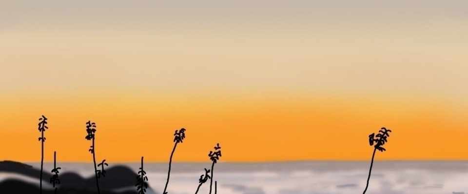 海外を旅するくまさんa105 隙頂二延平山 雲海 くまさん 麦食