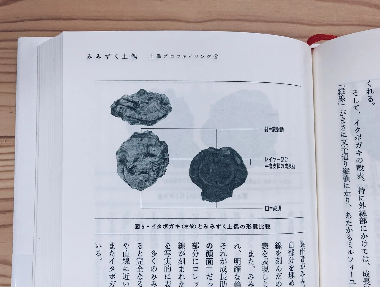 土偶を読む』を読んだけど（2）｜縄文ZINE_note