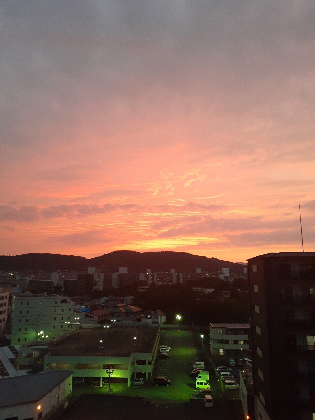 近親者の死ほど人間に ほんとうの問い を与えてくれるご縁はありません 遺された人が故人を偲びつつ 想い出と共に生きてゆくことは尊いことです しかし 故人が命を賭して遺してくれた想いに 本当の意味 東野たま Note 近親者の死ほど人間に ほんとうの問い を与えてくれるご縁はありません 遺された人が故人を偲びつつ 想い出と共に生きてゆくことは尊いことです しかし 故人が命を賭して遺してくれた想いに 本当の意味 東野たま Note