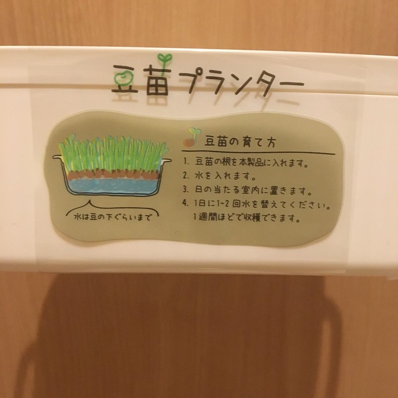 豆苗プランター購入 セリア Ella T Note