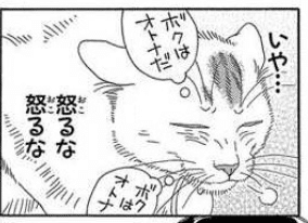 ねこマンガャ Schwarze Kitten Note