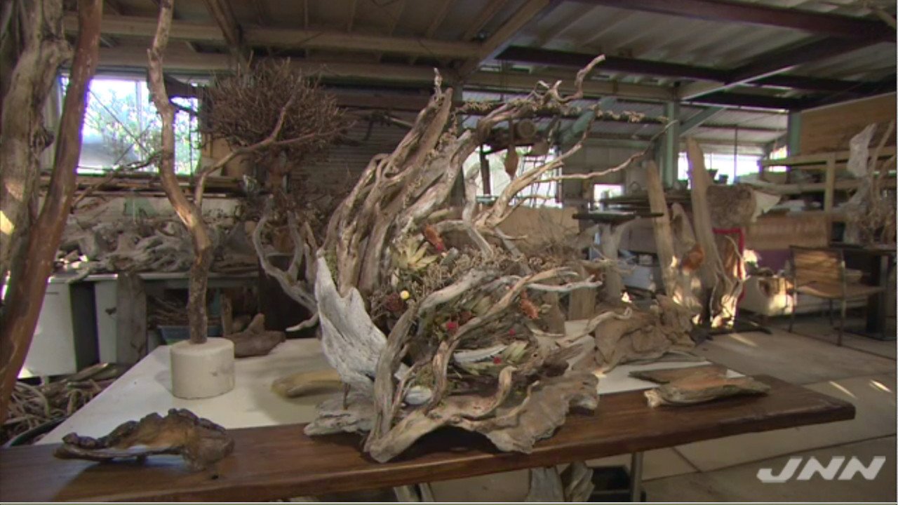 Nコレ。】誰でもカンタン!宝探し、海辺の流木が30万円