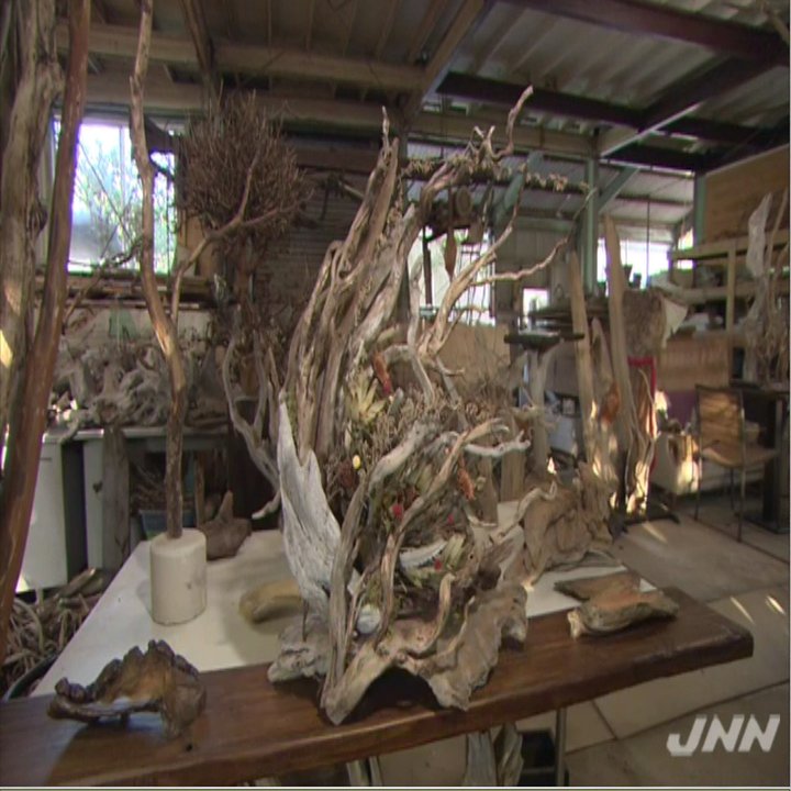 ｎコレ 誰でもカンタン 宝探し 海辺の流木が３０万円 ニュースが少しスキになるノート From Tbs News Dig Powered By Jnn Note