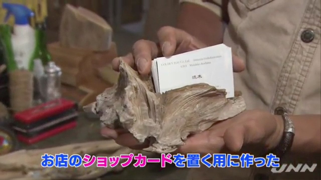 Nコレ。】誰でもカンタン！宝探し、海辺の流木が30万円
