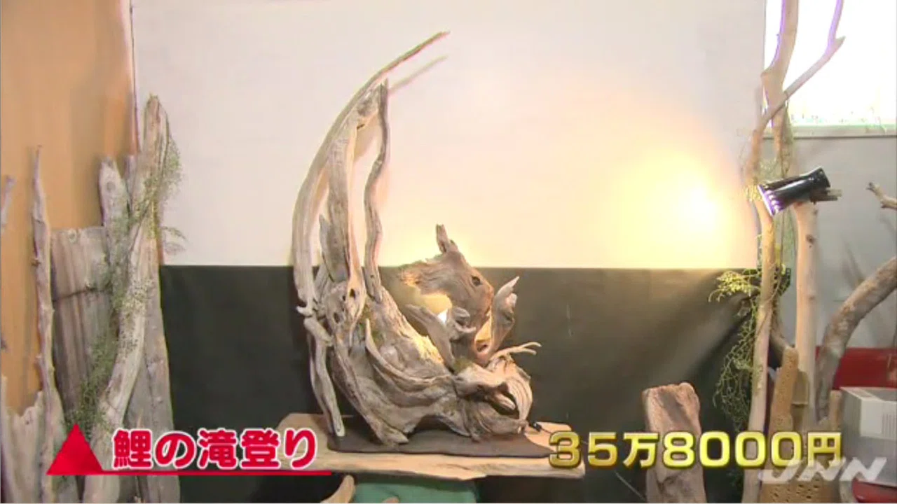 Nコレ。】誰でもカンタン！宝探し、海辺の流木が30万円