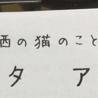 猫の堕胎 中絶 ナカタ アサミ Note 猫の堕胎 中絶 ナカタ アサミ Note