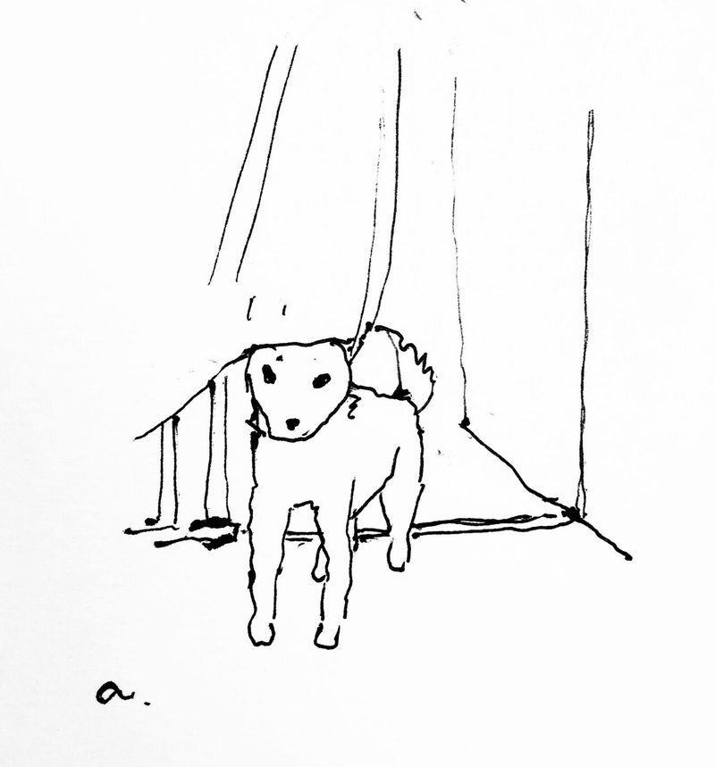 犬のおかしみと その存在 Toshoneko Note 犬のおかしみと その存在 Toshoneko Note