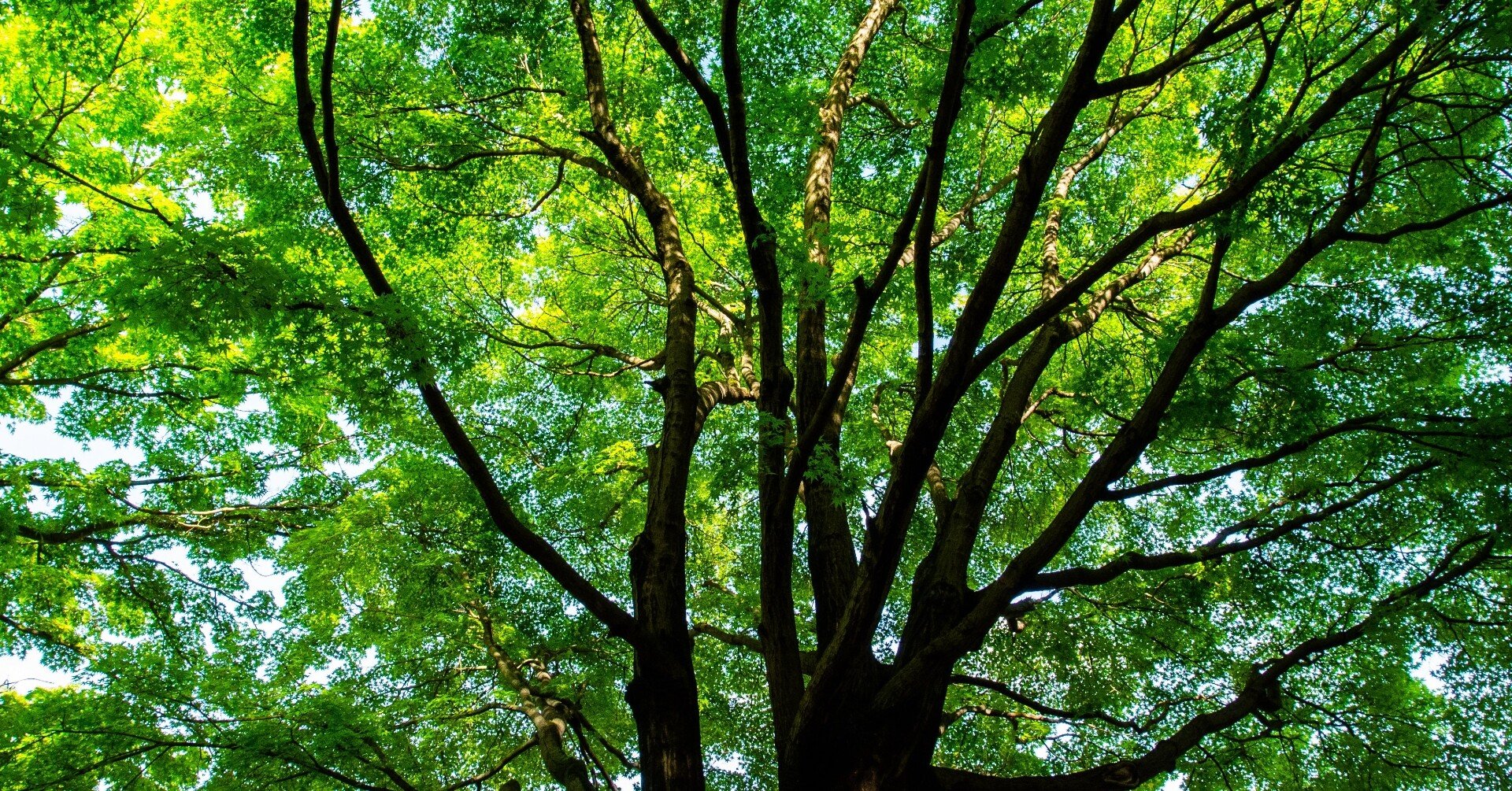 どこも行くところがない 酒井朋子 Note