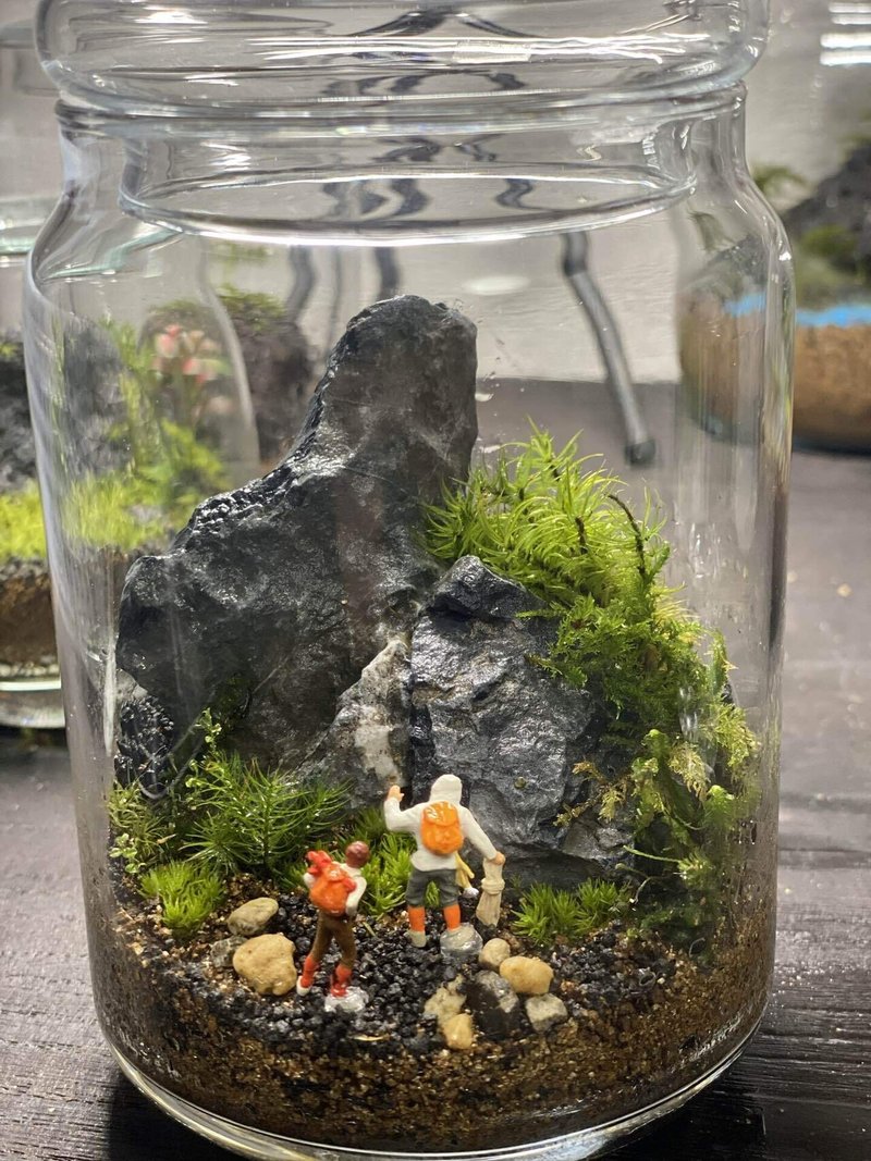 苔テラリウムとは 大西輝卓 Note 苔テラリウムとは 大西輝卓 Note