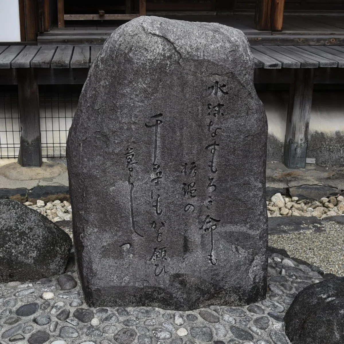 画像15