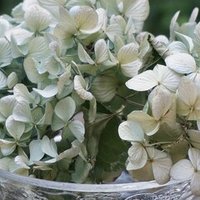 弥生志郎の私が読んだ3作品 明日 今日の君に逢えなくても 他 Juneberry Note 弥生志郎の私が読んだ3作品 明日 今日の君に逢えなくても 他 Juneberry Note