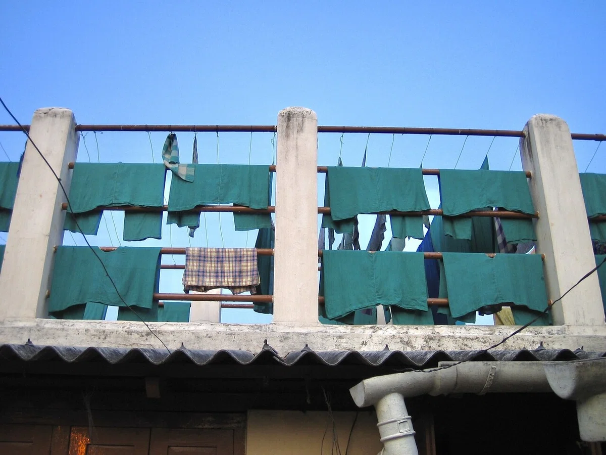 画像6
