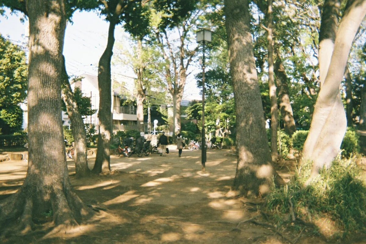 画像7