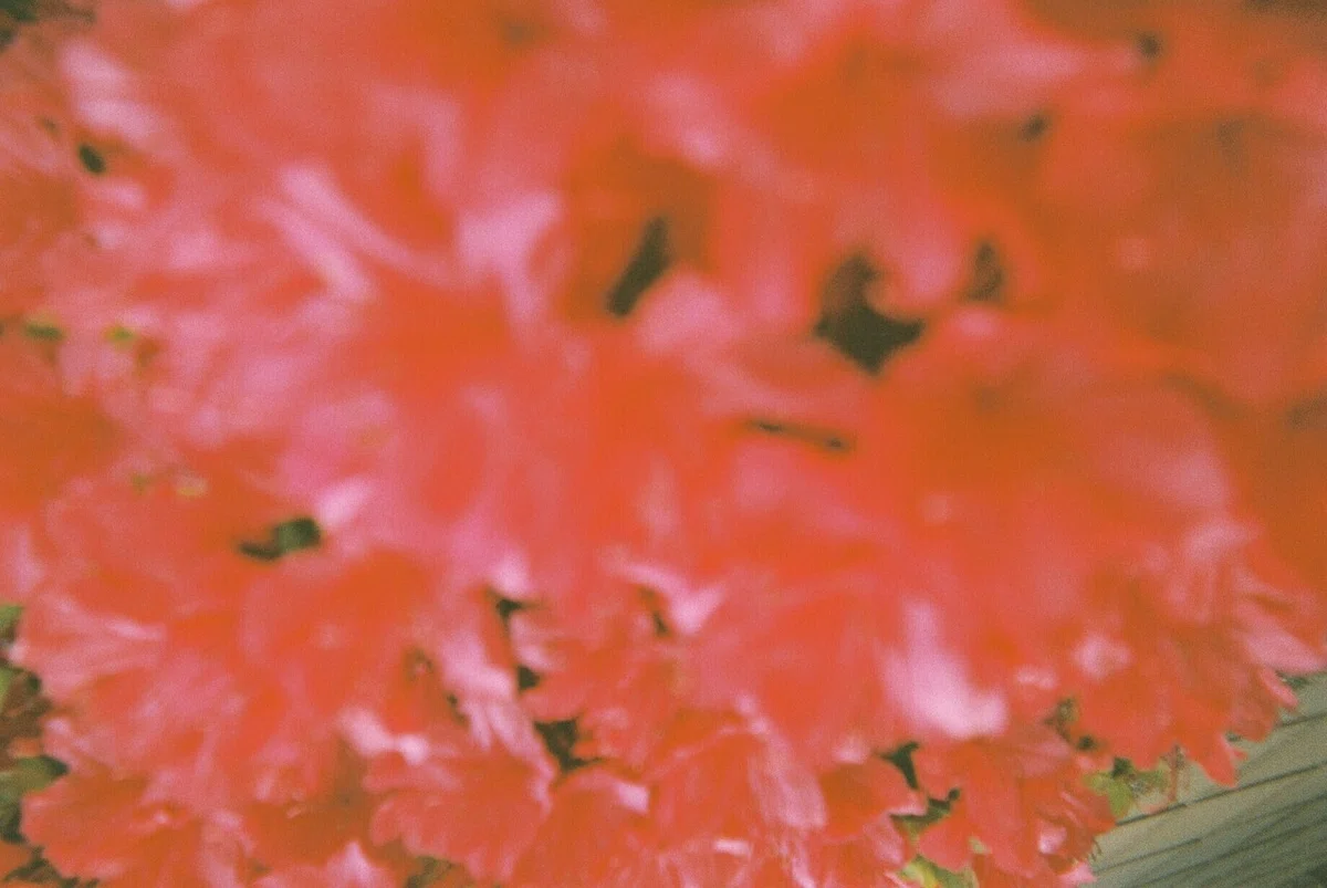 画像11