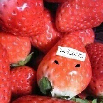カワイクなくちゃいけないリユウ 12年 卯目朋章 Note
