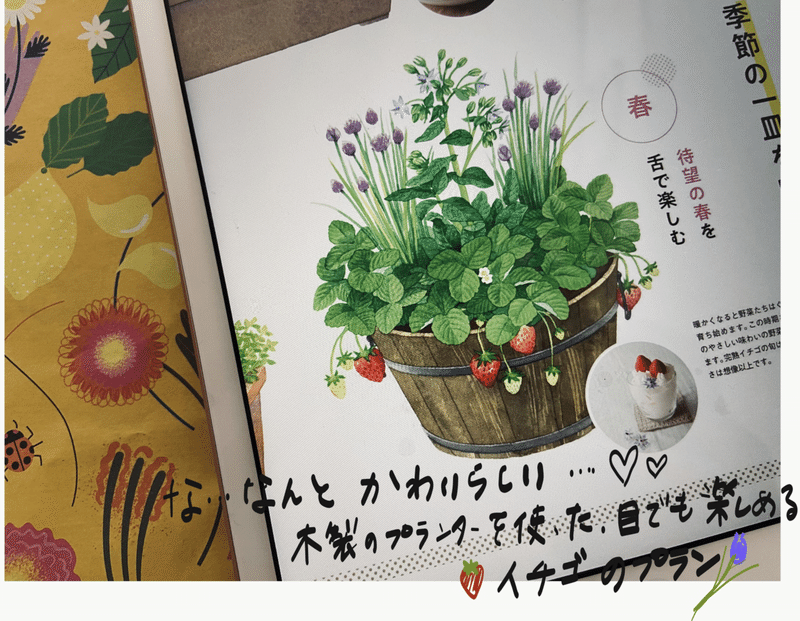 プランター栽培は難しい めざせ ベランダポタジェガーデン プランター寄せ植え野菜 ころの庭自然菜園ーハーブやアロマもー Note