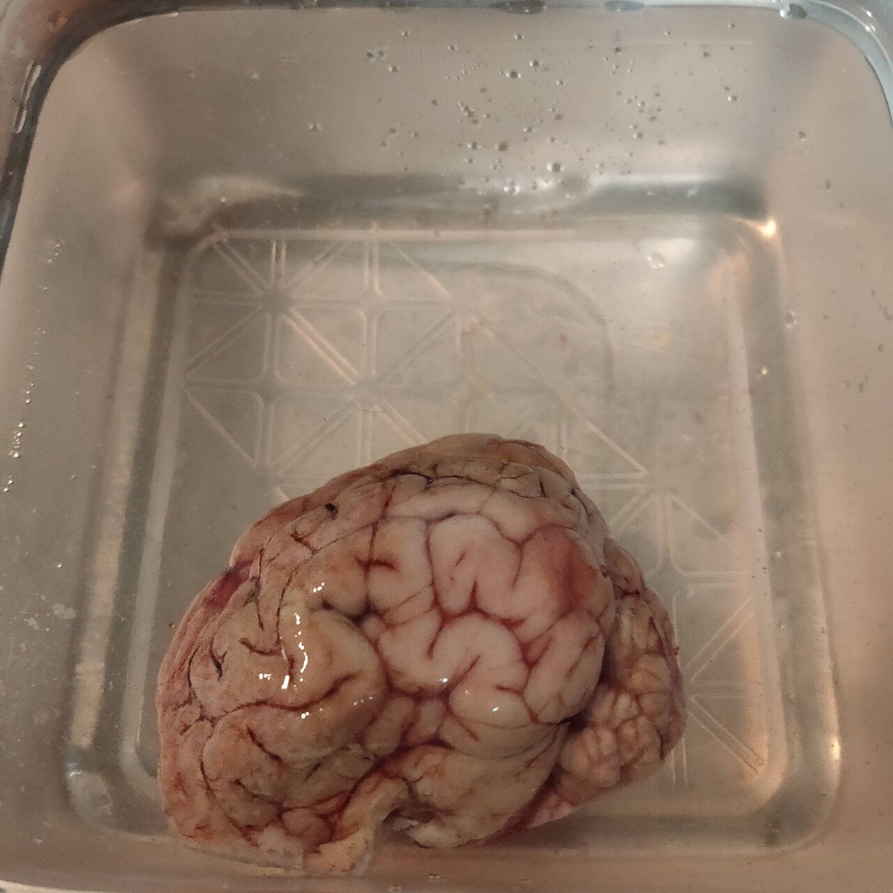 53 72時間カレーを作り続けたときのこと カレー哲学 東京マサラ部 Note 53 72時間カレーを作り続けたときのこと カレー哲学 東京マサラ部 Note