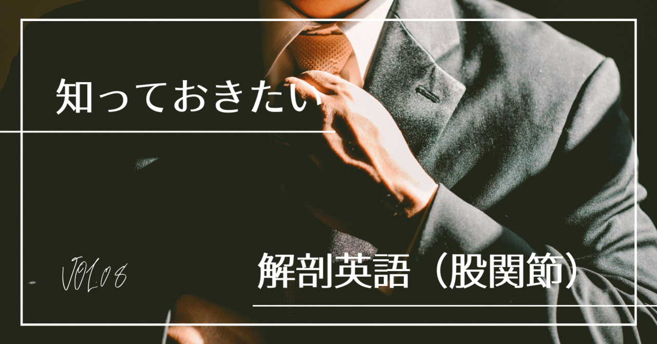 解剖を英語で学ぶ 股関節 苅田龍三 Athletic Trainer Acupuncturist Training Note 解剖を英語で学ぶ 股関節 苅田龍三 Athletic Trainer Acupuncturist Training Note
