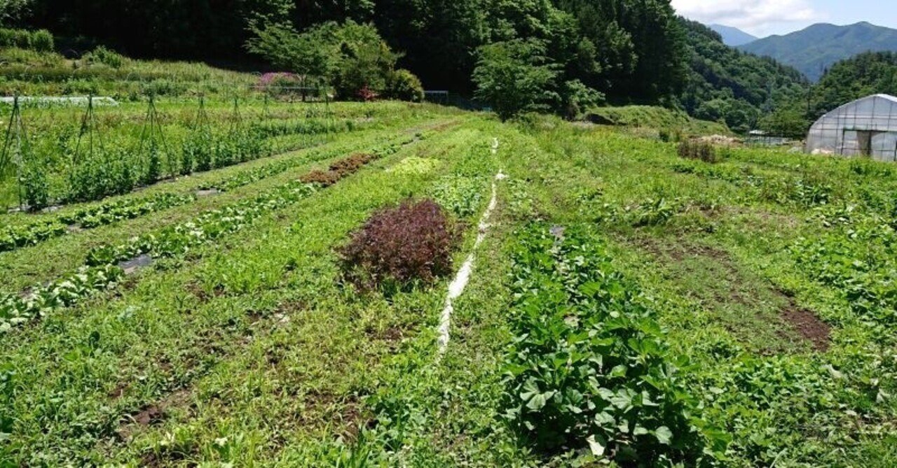 Amazon.co.jp: 農業の常識は、自然界の非常識 : 高橋 丈夫: 本