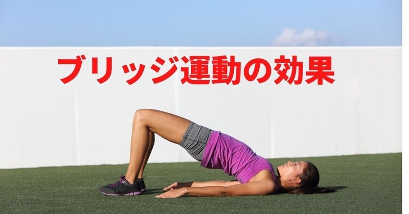 ブリッジ運動を再考する おっしー 理学療法士note Note