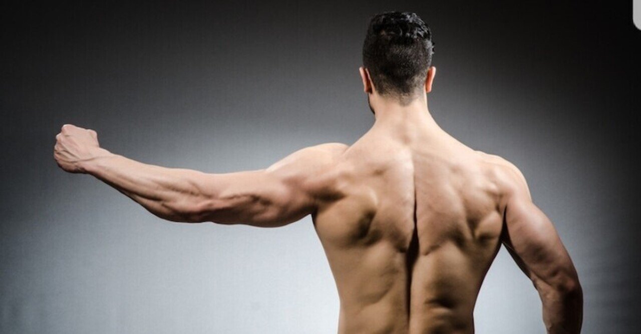 ドラゴン族の完全攻略シリーズ 首 背中 の痛み コリ 違和感 を消滅させる パーフェクト バックシャン メソッド ｐｂｍ ドラゴン族と賢者の図書館 Note