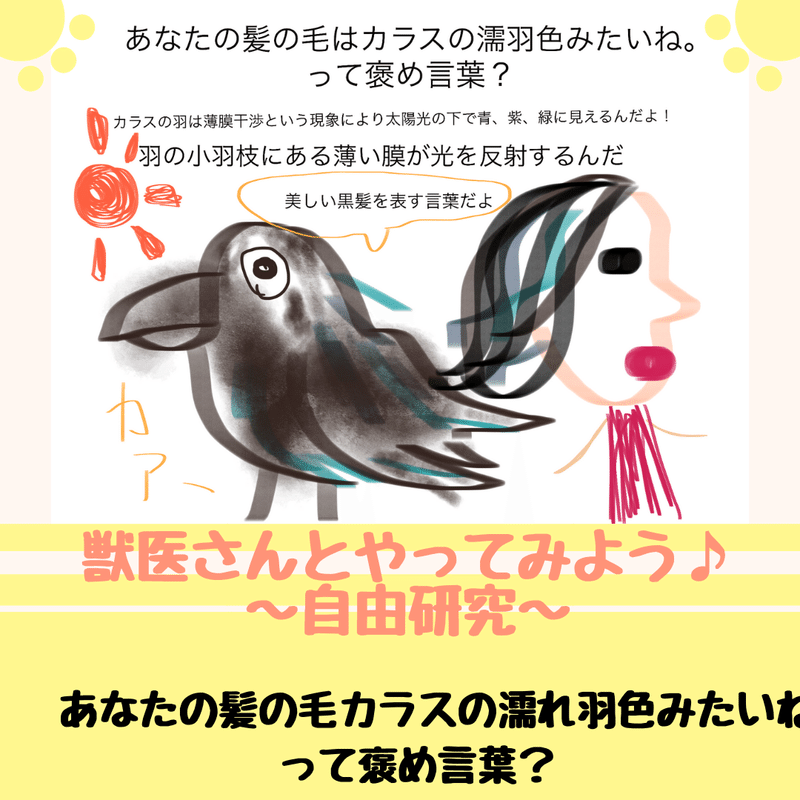 あなたの髪の毛はカラスの濡れ羽色みたいね って褒め言葉 獣医師ふーの 獣医さんとやってみよう自由研究 Note あなたの髪の毛はカラスの濡れ羽色みたいね って褒め言葉 獣医師ふーの 獣医さんとやってみよう自由研究 Note
