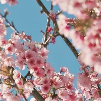 21年度富山大学の医学部学士編入の一次試験 おと 医学部学士編入 Note