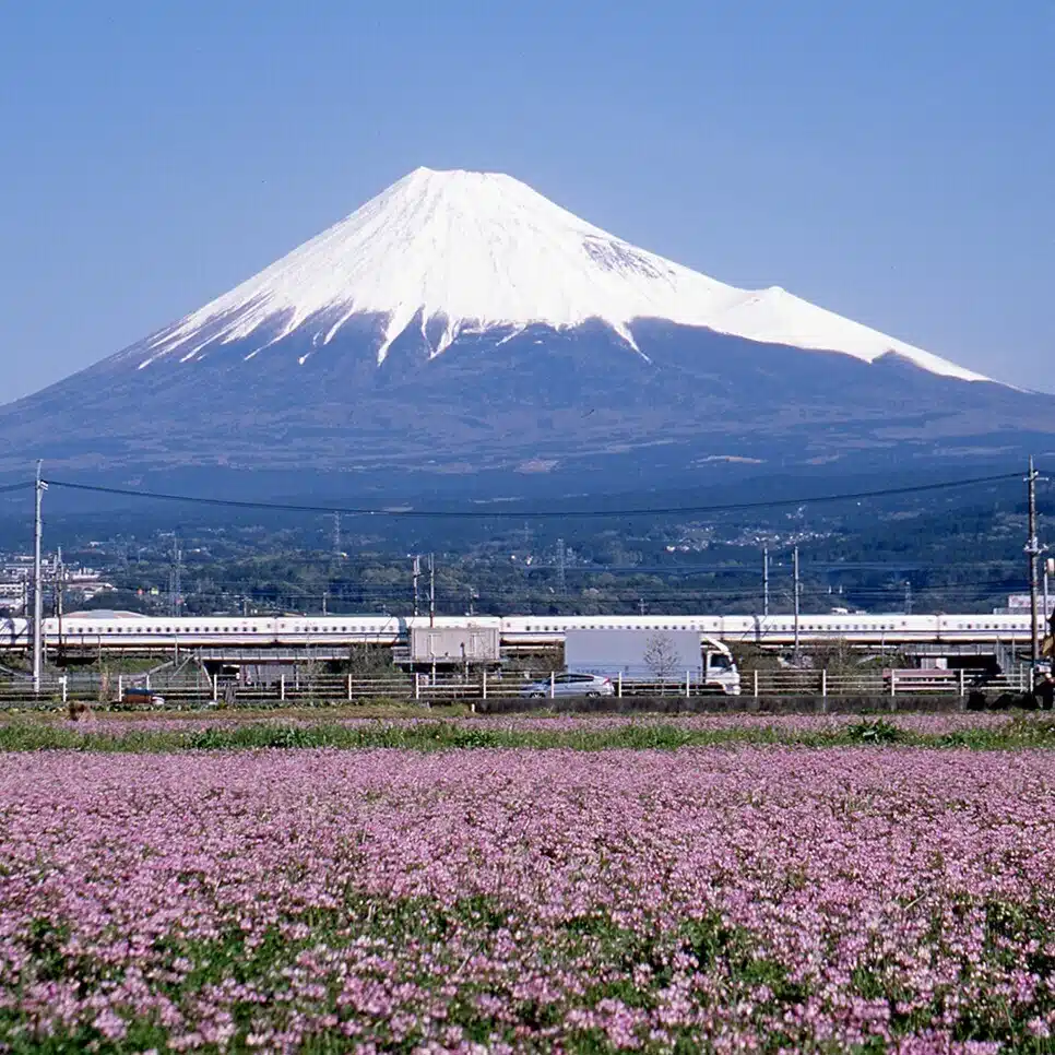 芙蓉峰サービス