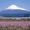 芙蓉峰サービス